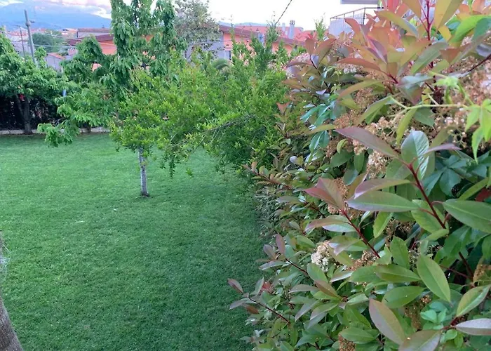 B&B The Garden